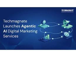 SEO Agency in Bangalore -Techmagnate